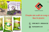 Bao bì Plastic là gì? Quy trình sản xuất bao bì Plastic tại Bảo Tín