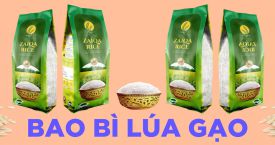BAO BÌ LÚA GẠO