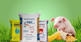 BAO BÌ THỨC ĂN CHĂN NUÔI THỦY SẢN