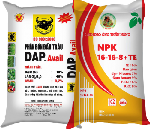 thiết kế 1